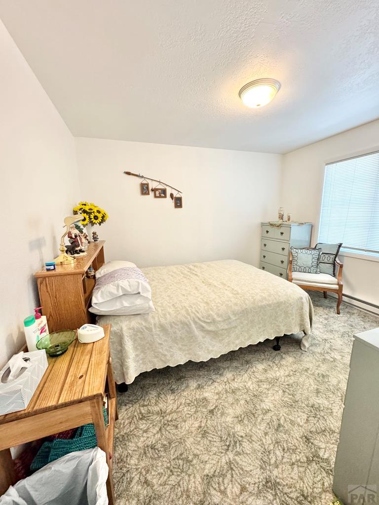 9783 Highway 165 Rye, CO 81069 - Photo 15 of 52 Gallery Image 15