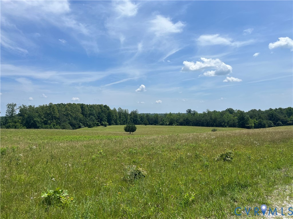 0 Aspen Grove Road Farmville, VA 23901 - Photo 3 of 9