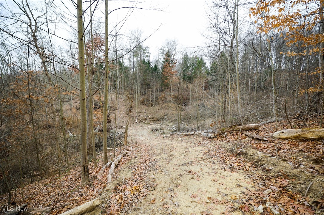 6500 Kings Ridge Road Newcomerstown, OH 43832 - Photo 41 of 46 Gallery Image 41