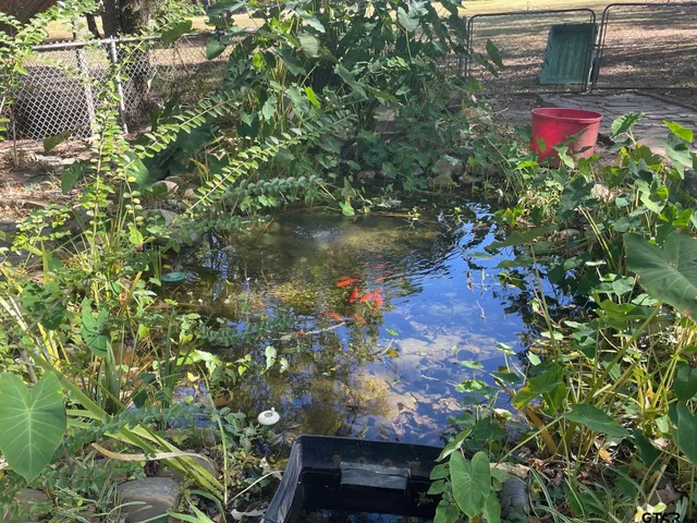 $255,000 | 1203 County Road 1127, Daingerfield, TX 75638