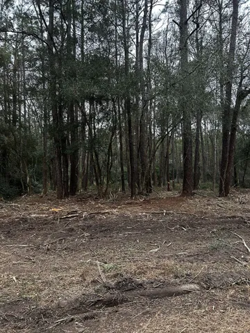 a view of outdoor space with trees