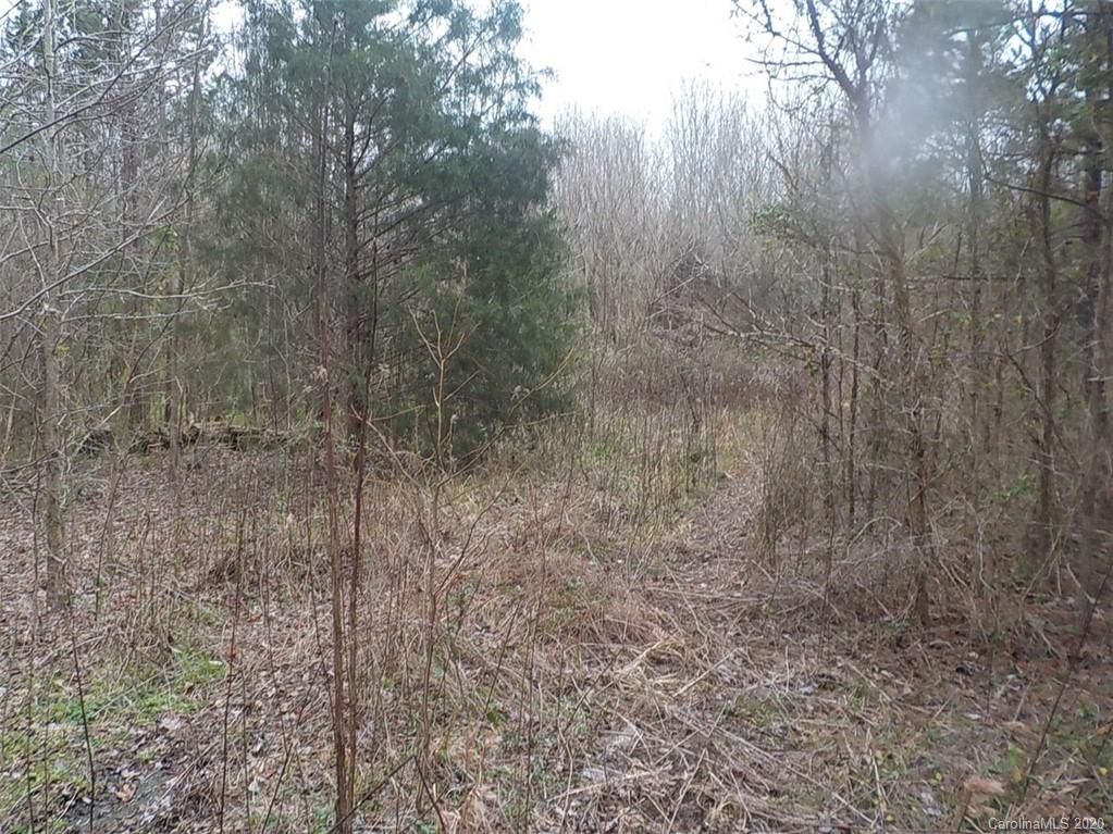 N/a Billy Howey Road Waxhaw, NC 28173 - Photo 2 of 3