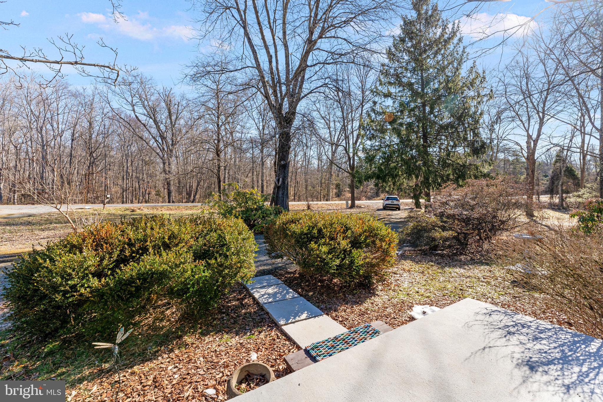 9576 Meetze Road Midland, VA 22728 - Photo 19 of 34 Front Yard