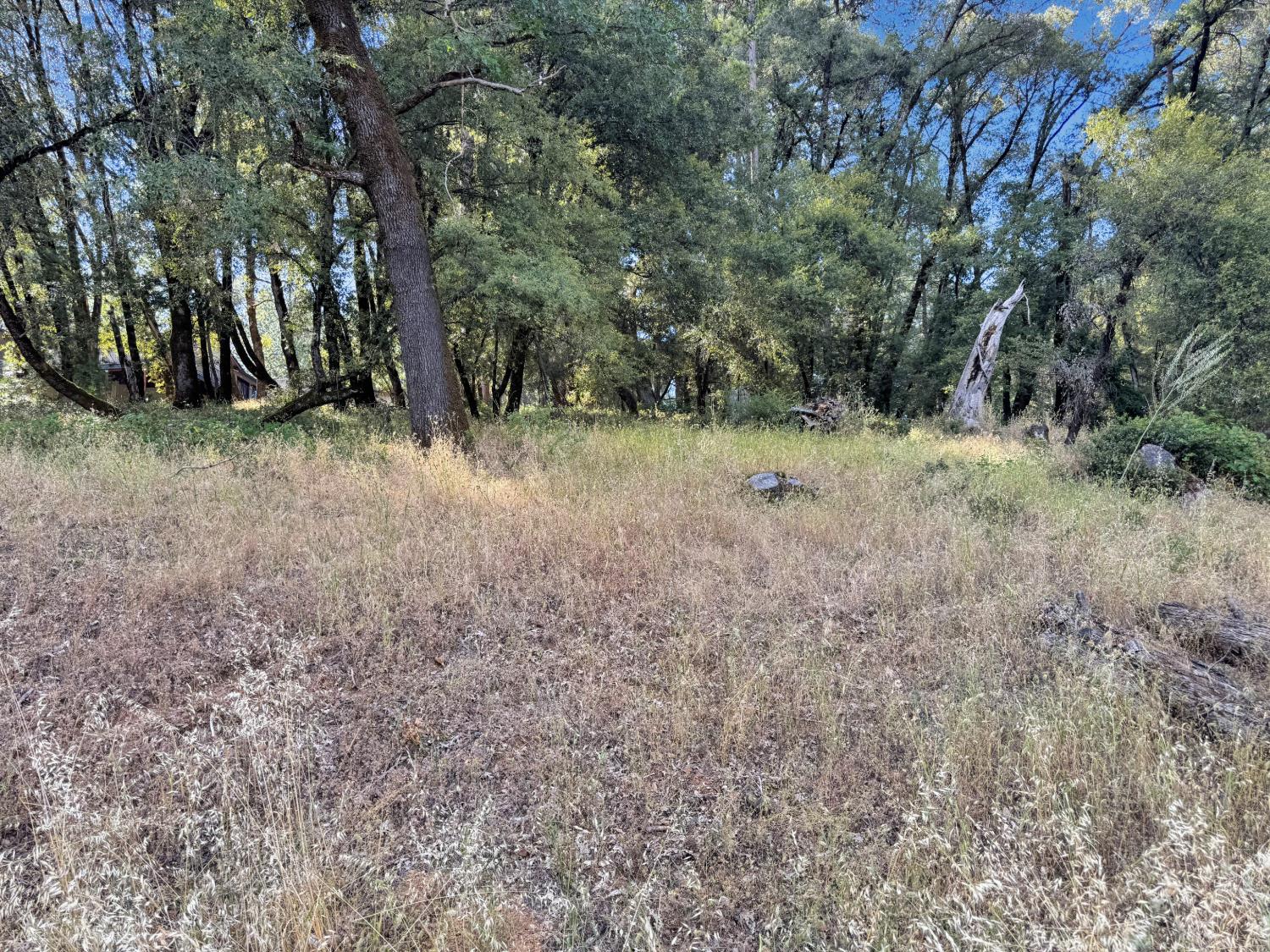 15340 Brewer Road Grass Valley, CA 95949 - Photo 2 of 8