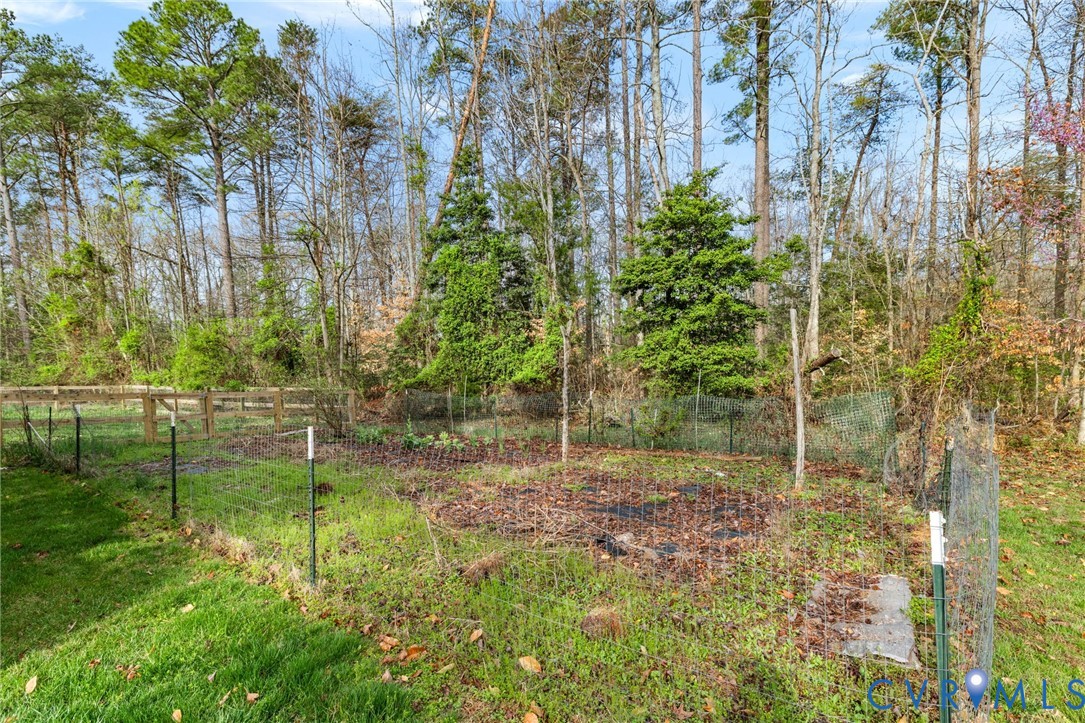 3725 Jefferson Landing Road Powhatan, VA 23139 - Photo 29 of 30