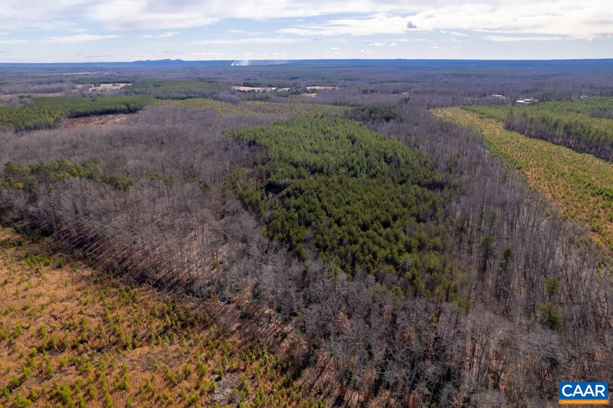 76-19 Shelton Store Road Wingina, VA 24599 - Photo 8 of 10 Gallery Image 8