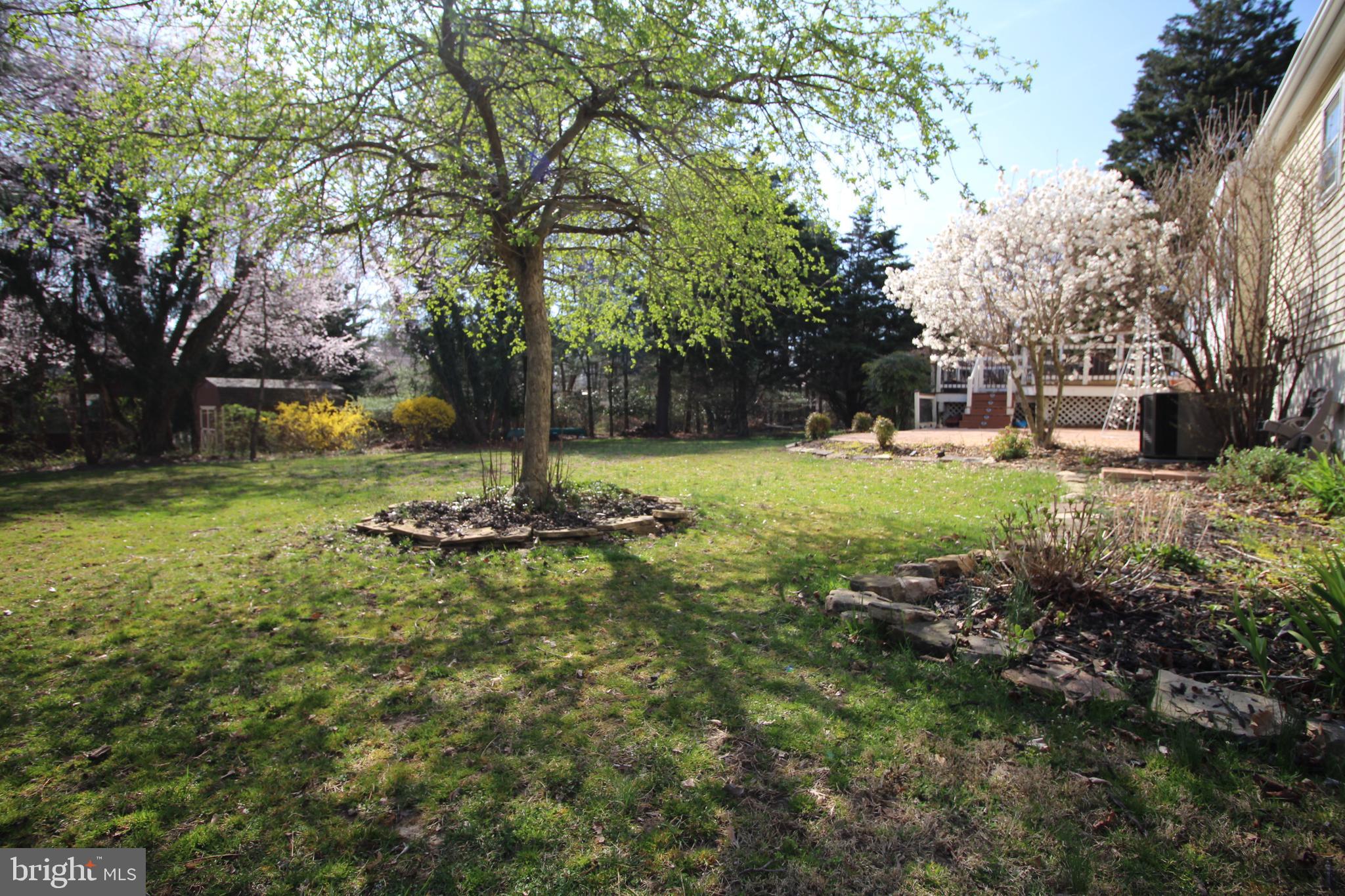 32159 Shorewood Road Galena, MD 21635 - Photo 28 of 29 back yard