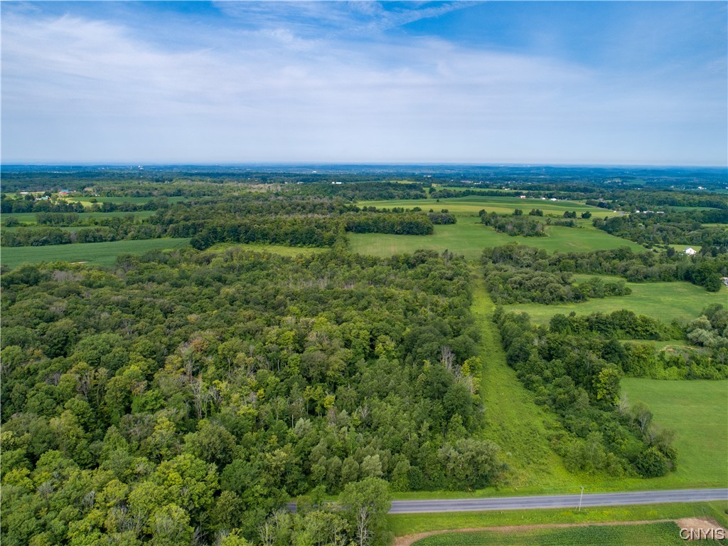 Lot #17 County Line Road, Unit 17 Phoenix, NY 13135 - Photo 10 of 14