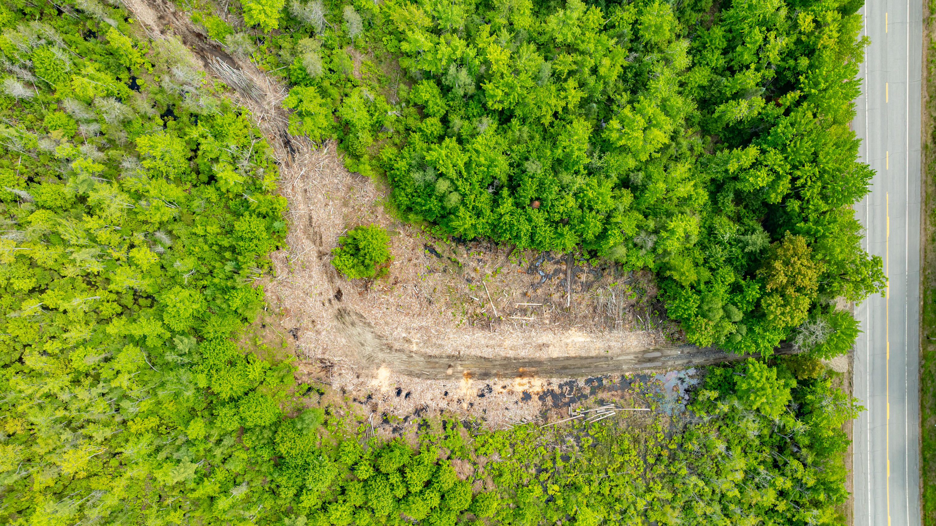 1-14-12 Main Road Greenbush, ME 04418 - Photo 13 of 16 DJI_0619