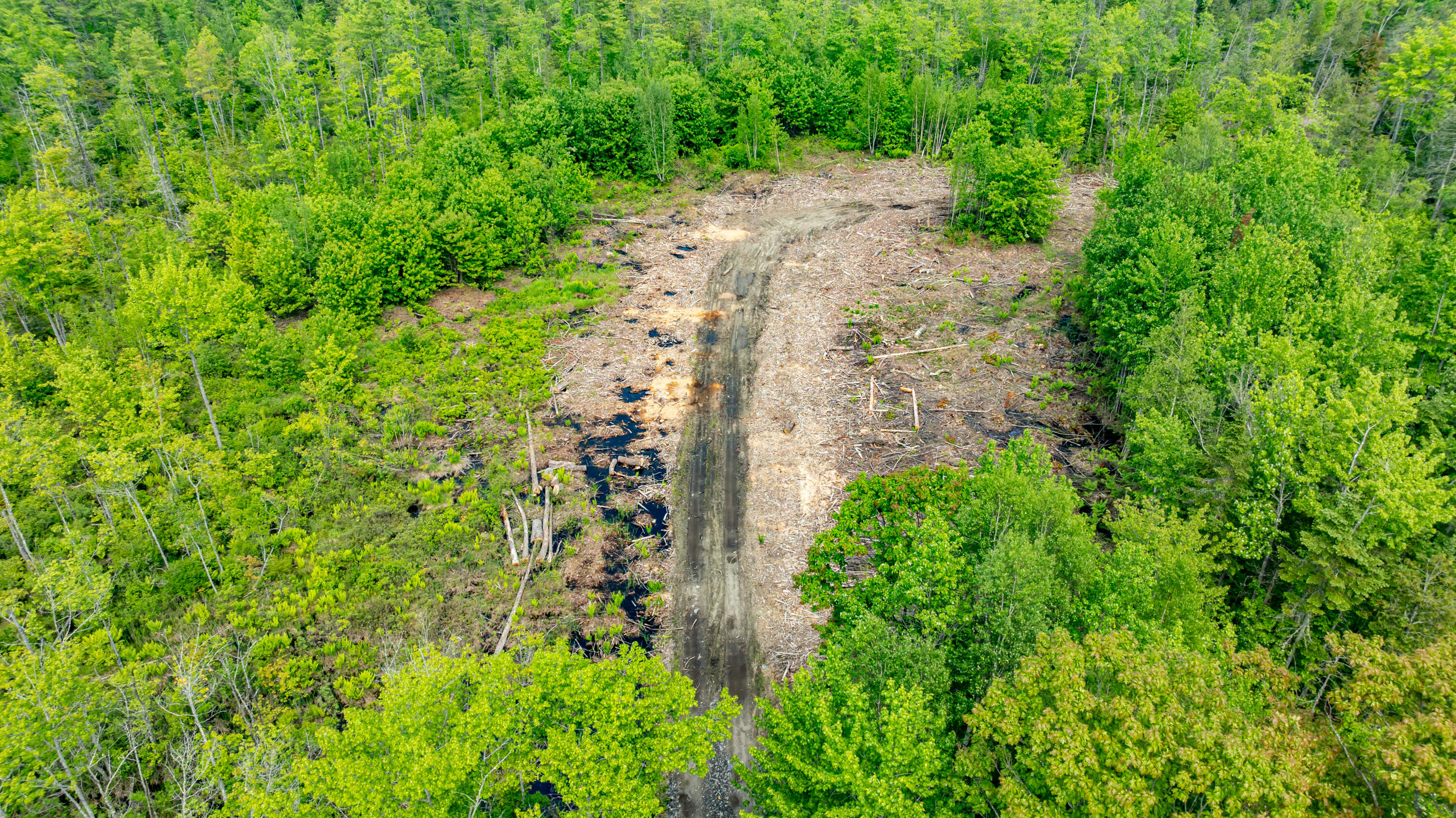 1-14-12 Main Road Greenbush, ME 04418 - Photo 14 of 16 DJI_0620