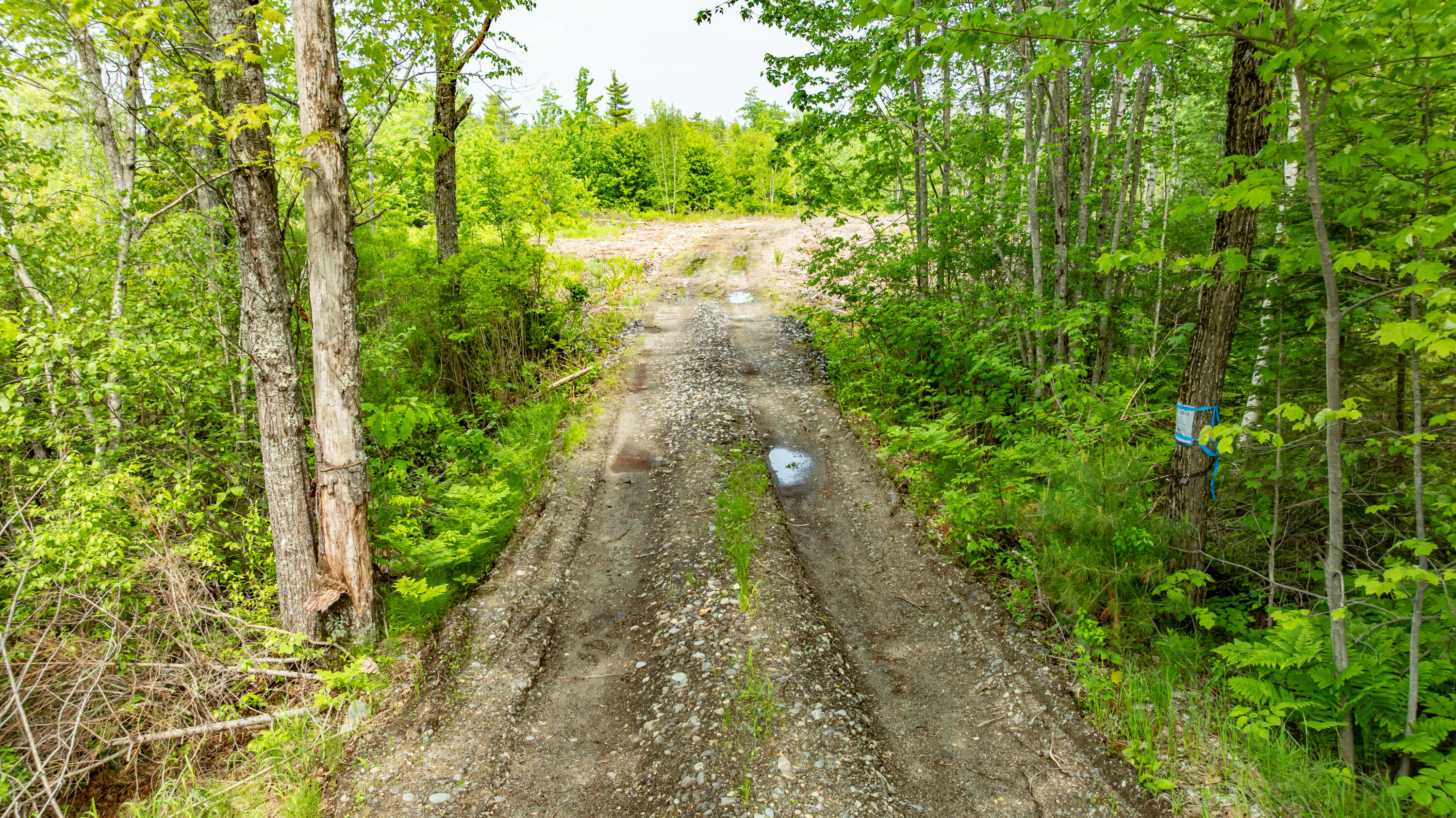1-14-12 Main Road Greenbush, ME 04418 - Photo 15 of 16 DJI_0622