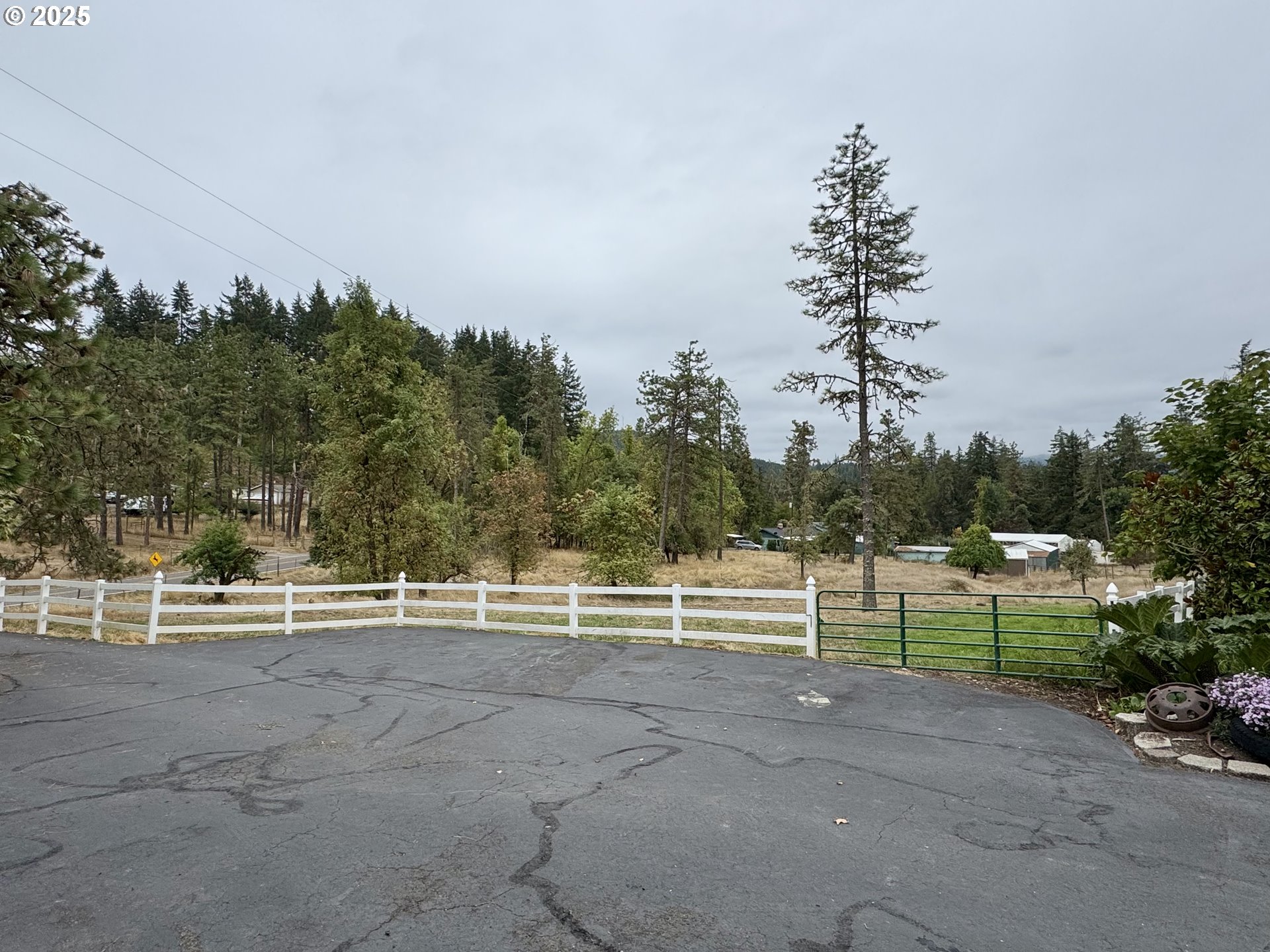 35929 Enterprise Road Creswell, OR 97426 - Photo 15 of 48 a view of outdoor space with garden and trees