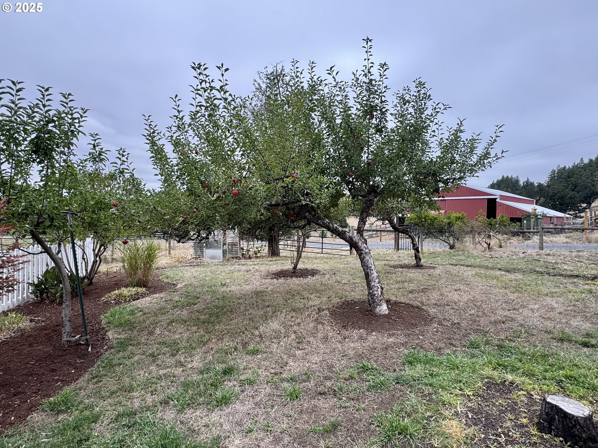35929 Enterprise Road Creswell, OR 97426 - Photo 8 of 48 a view of outdoor space with trees