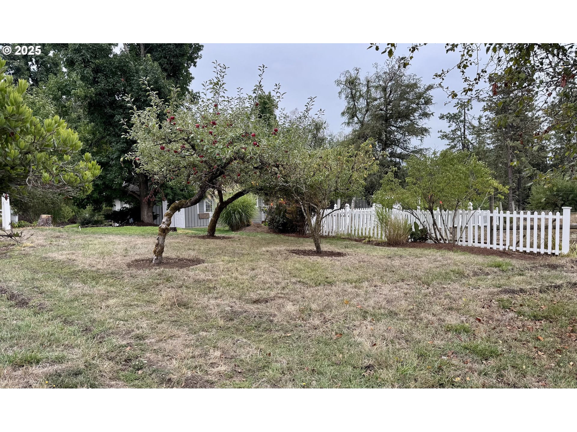 35929 Enterprise Road Creswell, OR 97426 - Photo 9 of 48 a view of outdoor space and yard