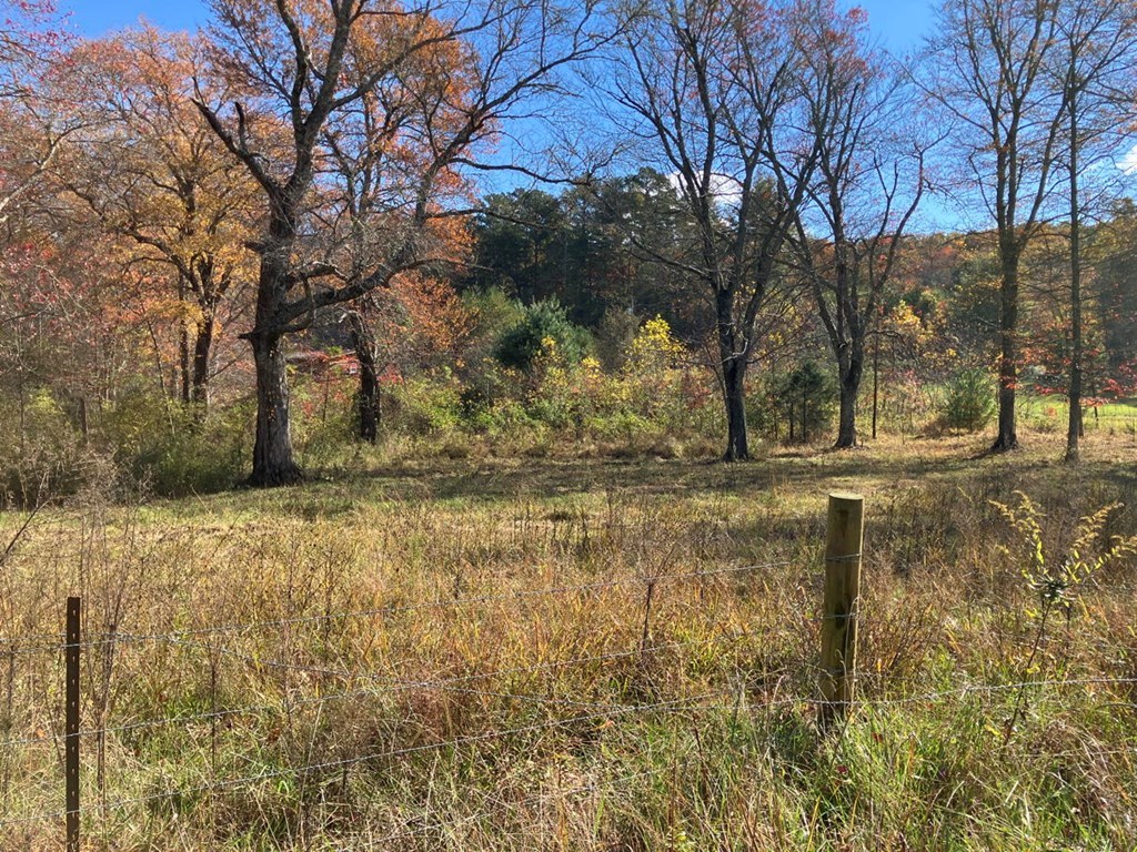 1838 Liberty Road Murphy, NC 28906 - Photo 32 of 77 Fenced pasture