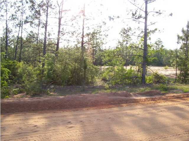 13-ac Clear Creek Road Crestview, FL 32539 - Photo 2 of 5 a view of a yard with a tree