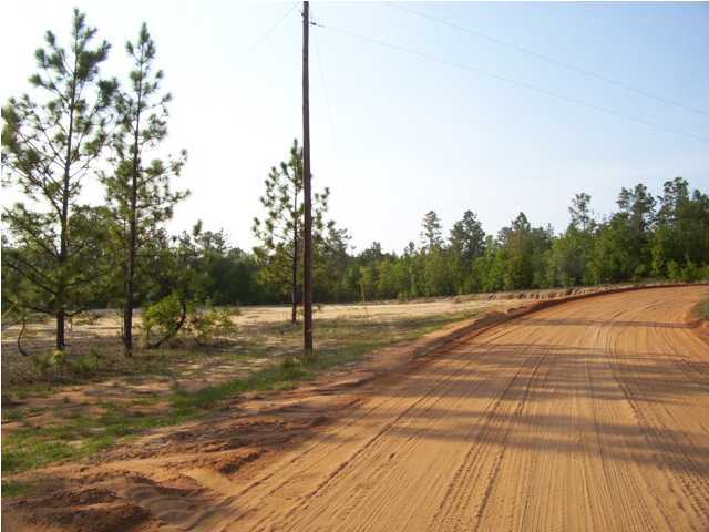 13-ac Clear Creek Road Crestview, FL 32539 - Photo 3 of 5 a view of a backyard of the house