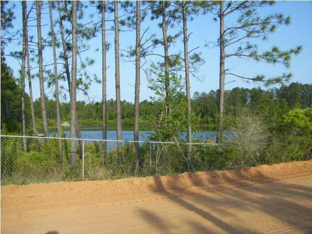 13-ac Clear Creek Road Crestview, FL 32539 - Photo 4 of 5 a view of a backyard