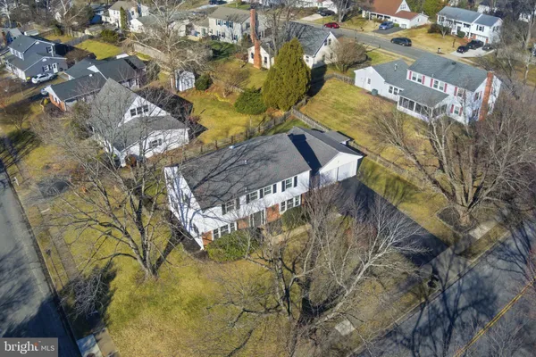 a view of a tree in a yard