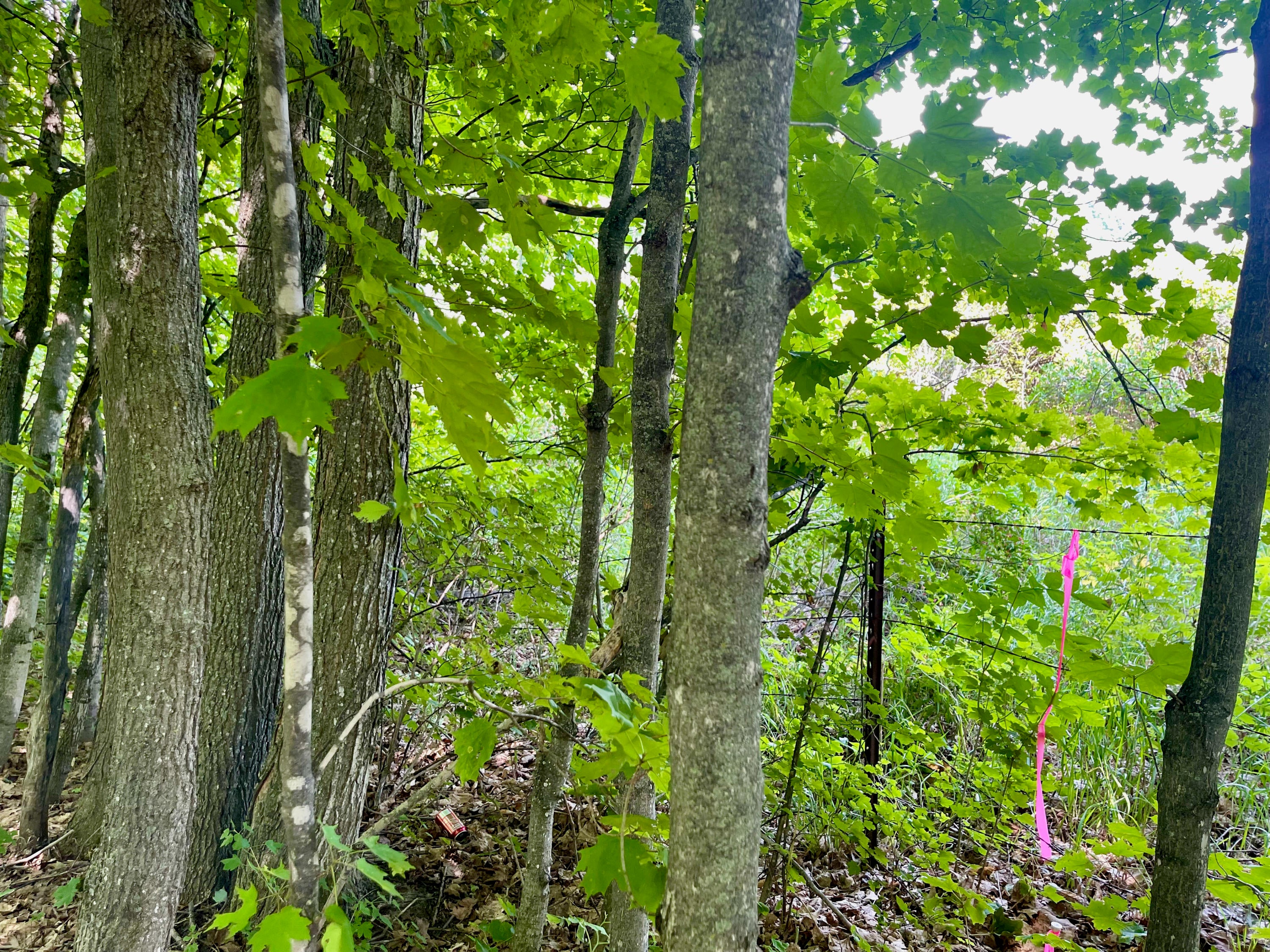 803 Guenther Ridge Gaylord, MI 49735 - Photo 10 of 23 Gallery Image 10