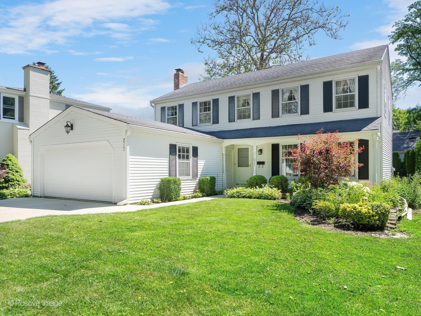 217 Rex Boulevard Elmhurst, IL 60126 - Photo 2 of 36