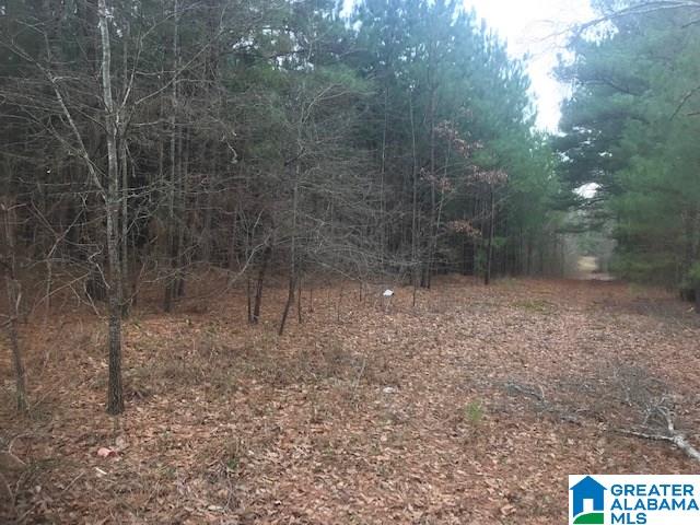 1 Marklund Road, Unit ACREAGE Empire, AL 35063 - Photo 3 of 4
