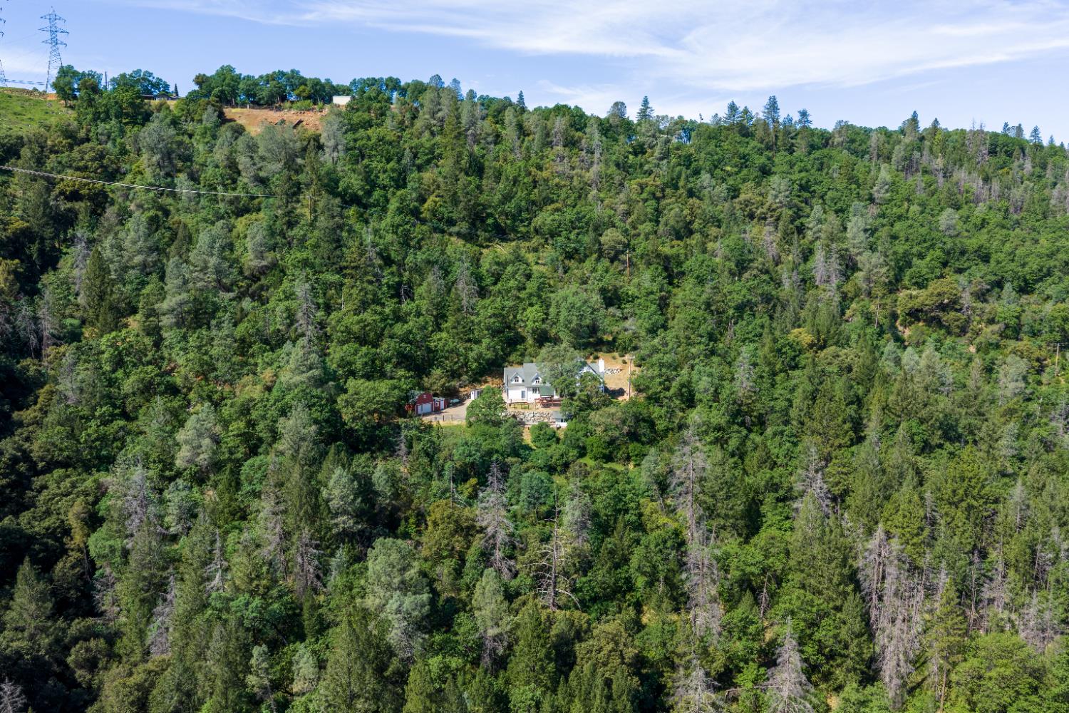 2213 Old Toll Road Placerville, CA 95667 - Photo 54 of 77 a view of a bunch of trees and bushes