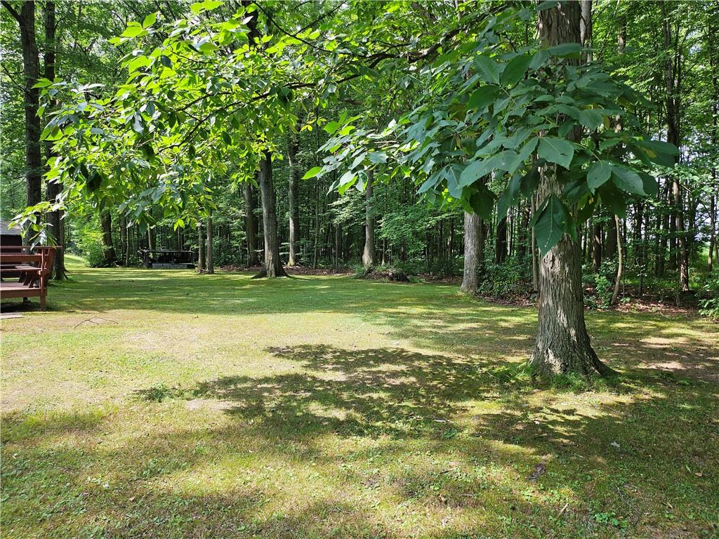 139 Sunset Road Grove City, PA 16127 - Photo 7 of 48 a view of a field with a tree
