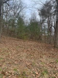 0 Carter School Road Stanford, KY 40484 - Photo 1 of 5 Taylor Property 2