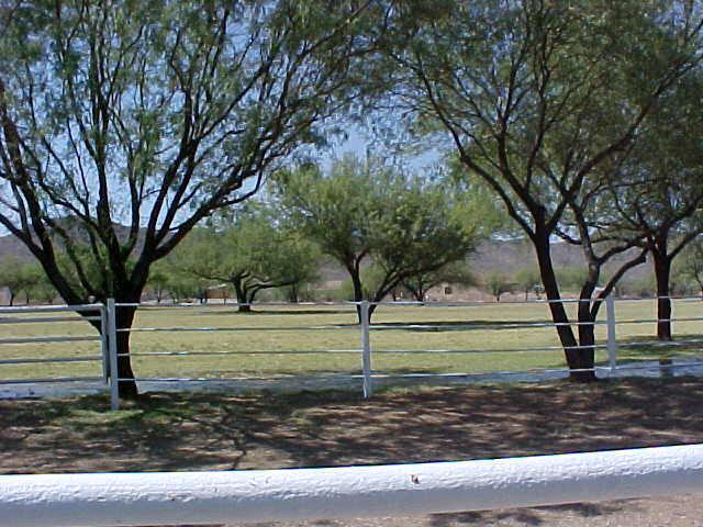 4211 West Carver Road, Unit 4 Laveen, AZ 85339 - Photo 1 of 1 Primary Photo
