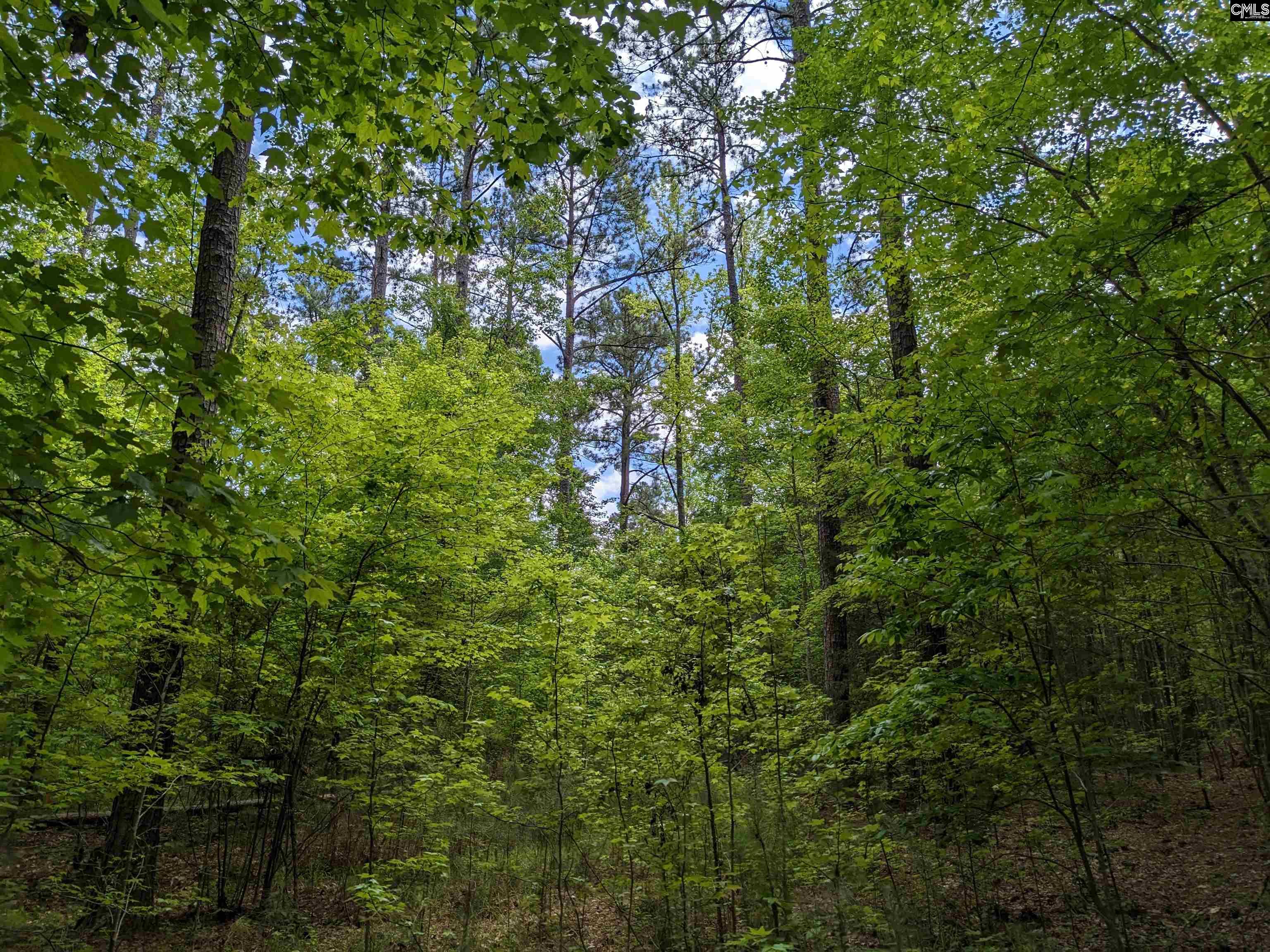 Syrup Mill Road Ridgeway, SC 29130 - Photo 26 of 33