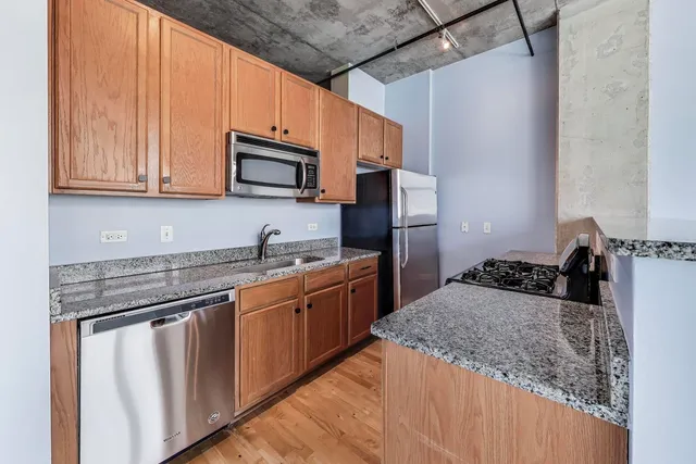 $249,000 | 50 East 16th Street, Unit 414, Chicago, IL 60616