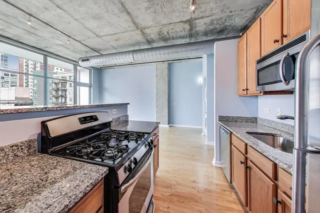 $249,000 | 50 East 16th Street, Unit 414, Chicago, IL 60616