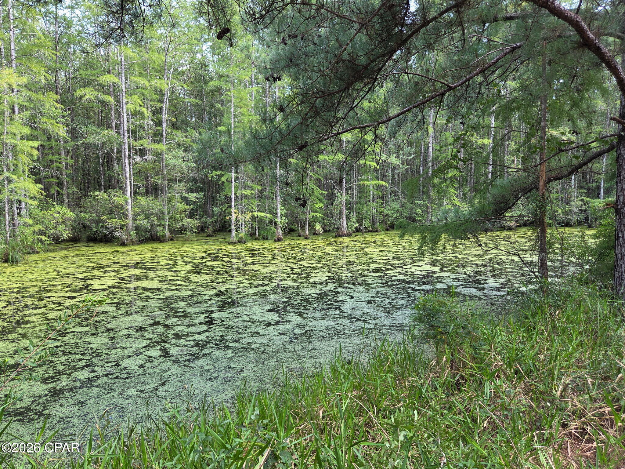 Tbd Poplar Head Road Bonifay, FL 32425 - Photo 16 of 20 Gallery Image 16