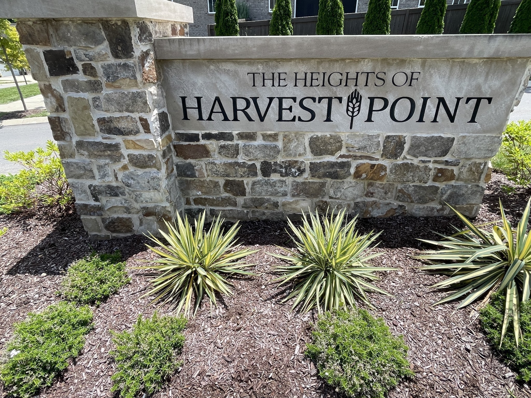 1146 June Wilde Ridge Spring Hill, TN 37174 - Photo 11 of 18