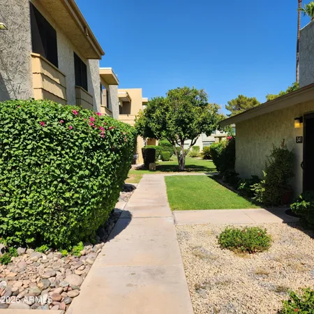 a view of a yard with flower plants