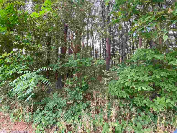 a backyard of a house with lots of swings