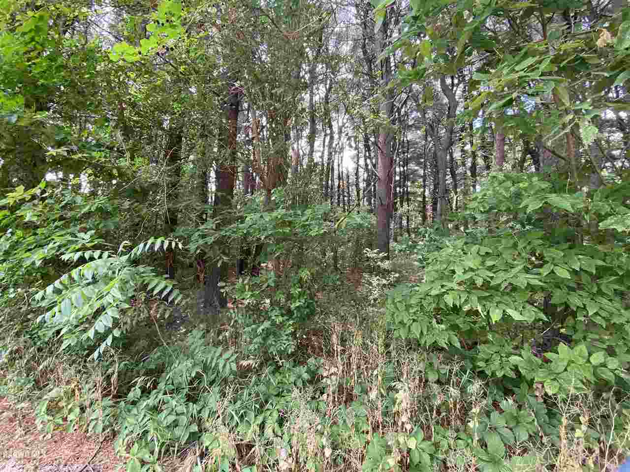 Lot 3 Squire Circle Thomson, IL 61285 - Photo 2 of 5 a backyard of a house with lots of swings