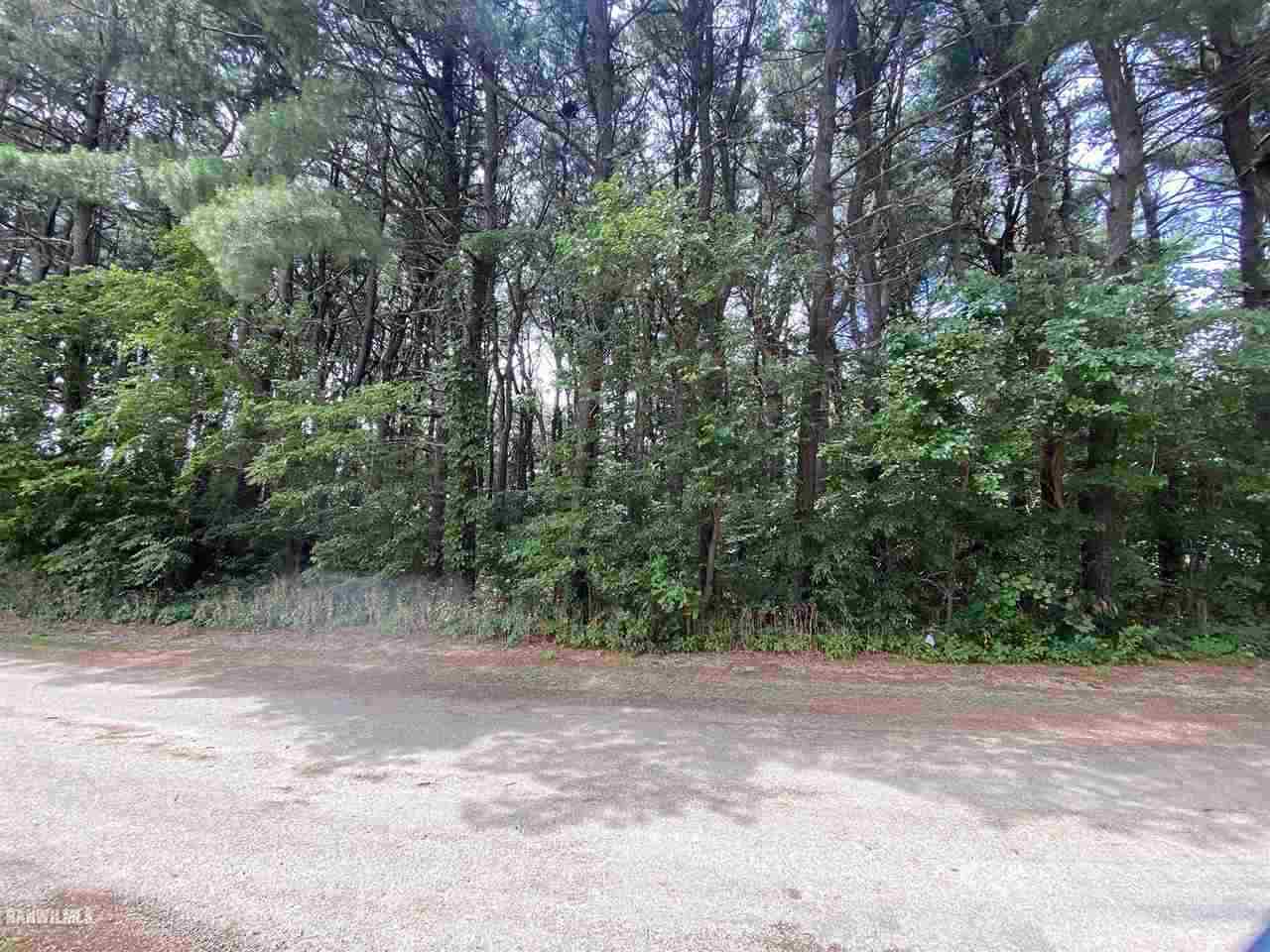 Lot 3 Squire Circle Thomson, IL 61285 - Photo 3 of 5 a view of outdoor space and trees