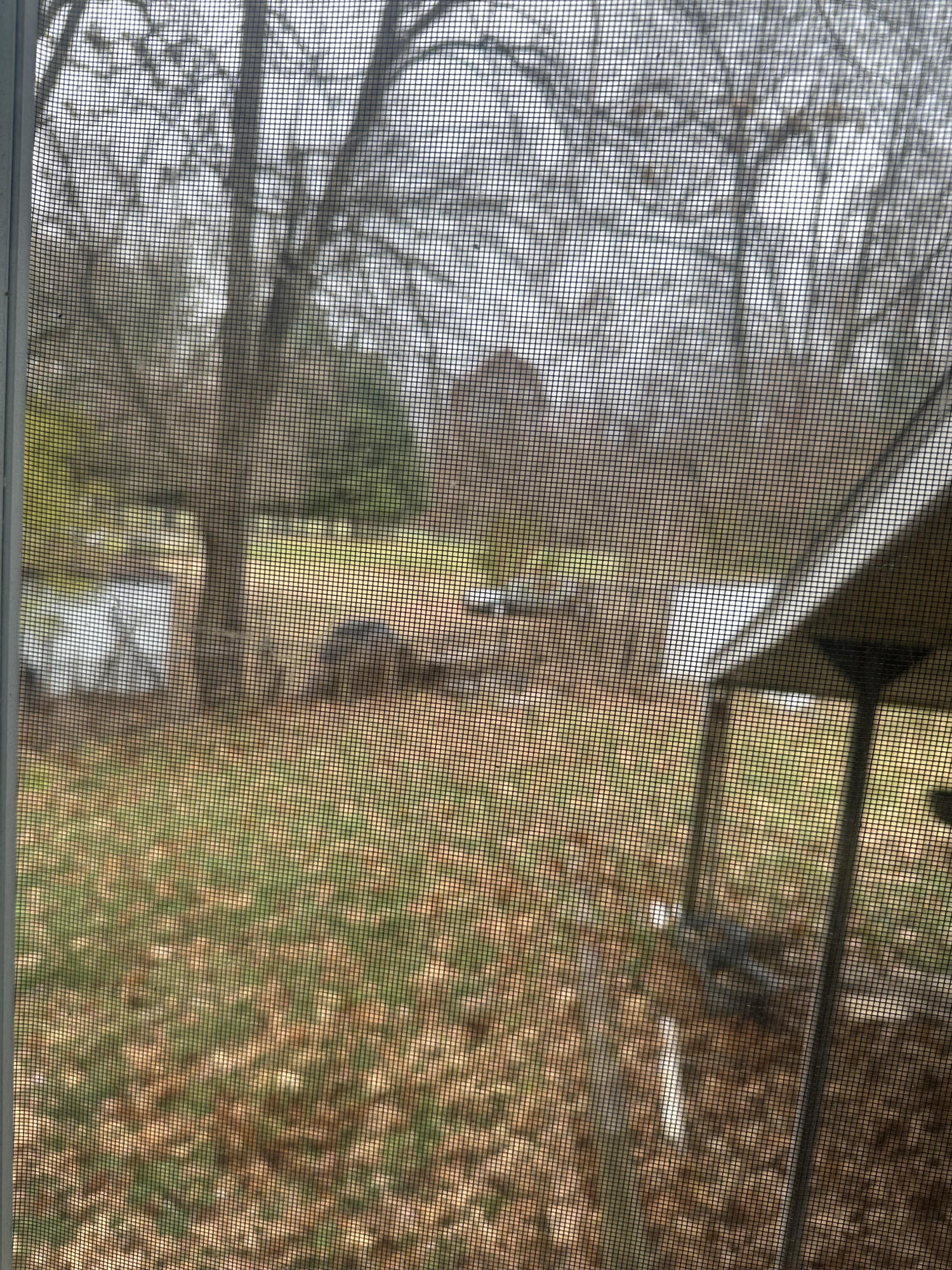 5489 Clem Road Portage, IN 46368 - Photo 16 of 48