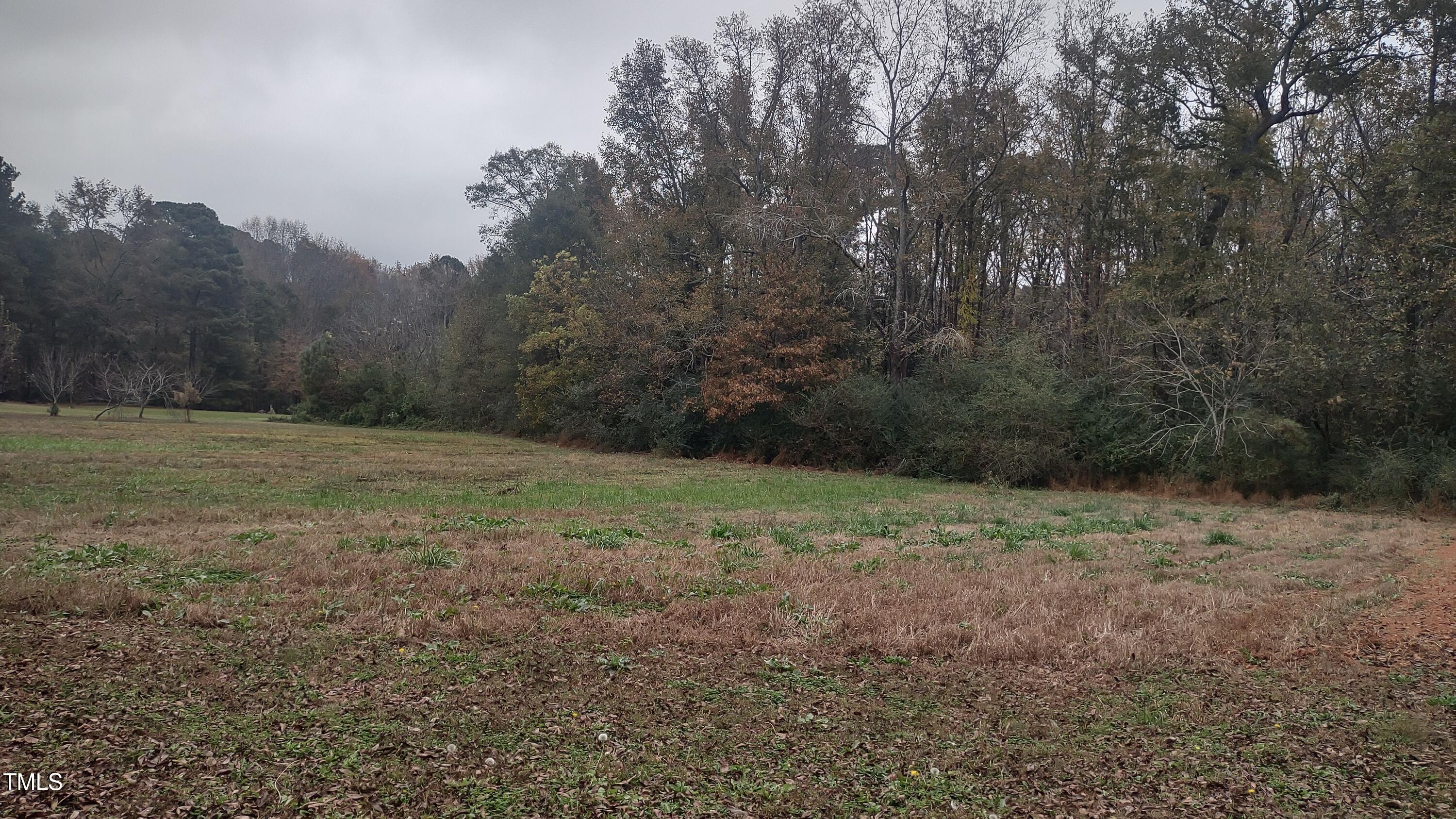 9921 Winters Road Bailey, NC 27807 - Photo 33 of 38 IMG_20241108_112844309_HDR