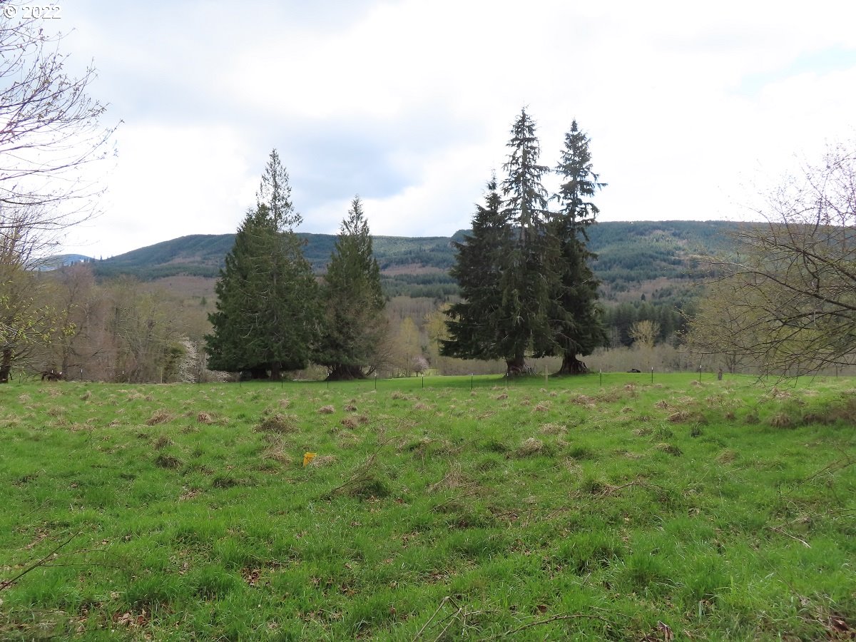 Hagen Road, Unit 14 Mossyrock, WA 98564 - Photo 12 of 32 Gallery Image 12