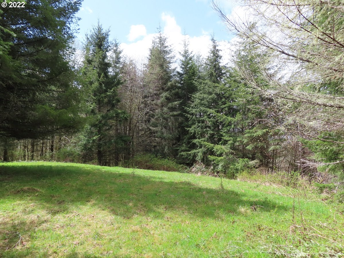 Hagen Road, Unit 14 Mossyrock, WA 98564 - Photo 13 of 32 Gallery Image 13