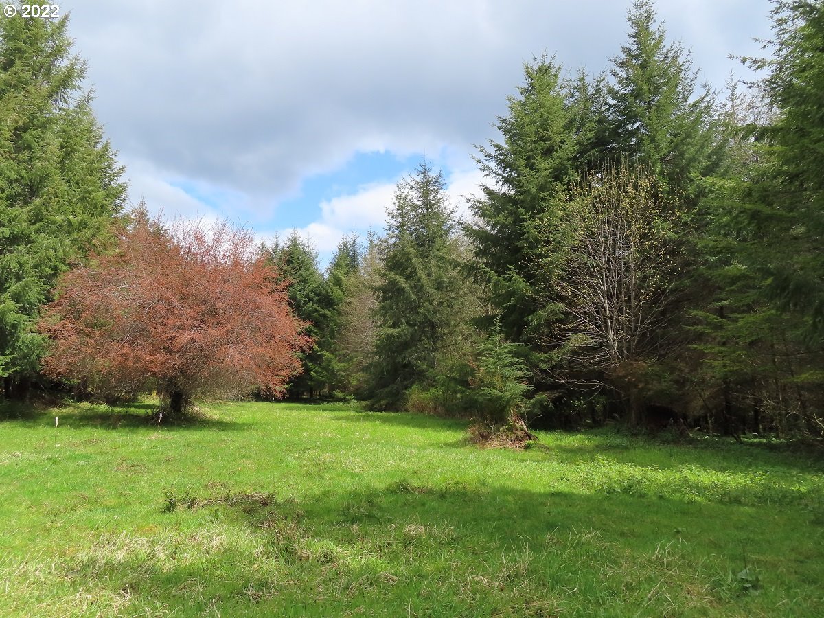Hagen Road, Unit 14 Mossyrock, WA 98564 - Photo 15 of 32 Gallery Image 15