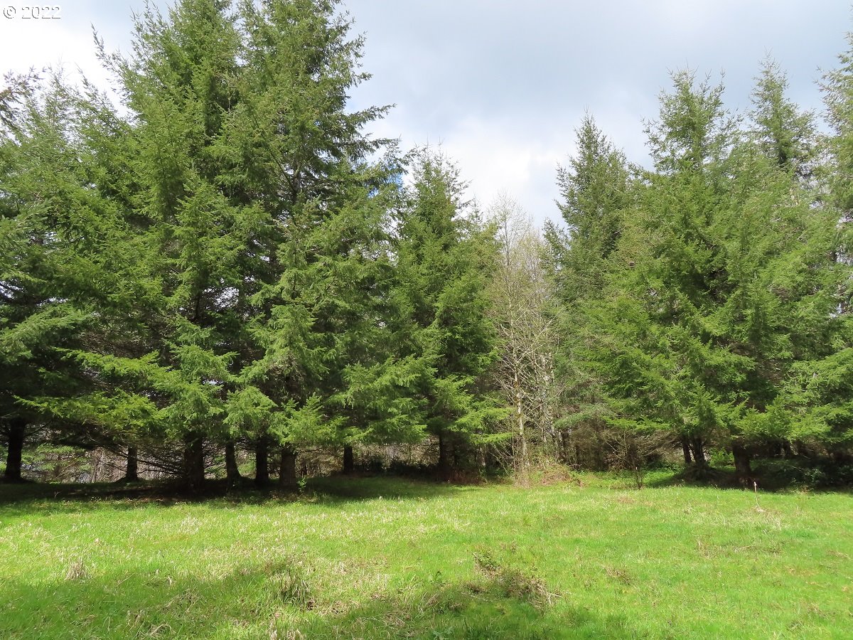 Hagen Road, Unit 14 Mossyrock, WA 98564 - Photo 16 of 32 Gallery Image 16