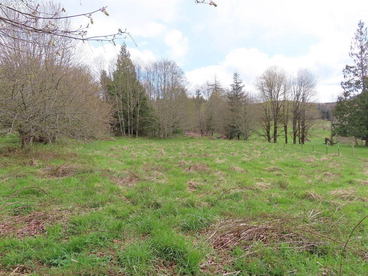 Hagen Road, Unit 14 Mossyrock, WA 98564 - Photo 17 of 32 Gallery Image 17