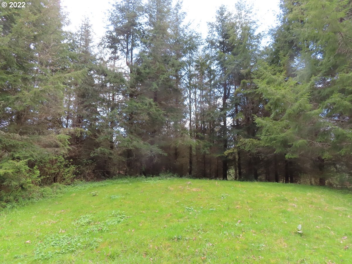 Hagen Road, Unit 14 Mossyrock, WA 98564 - Photo 18 of 32 Gallery Image 18