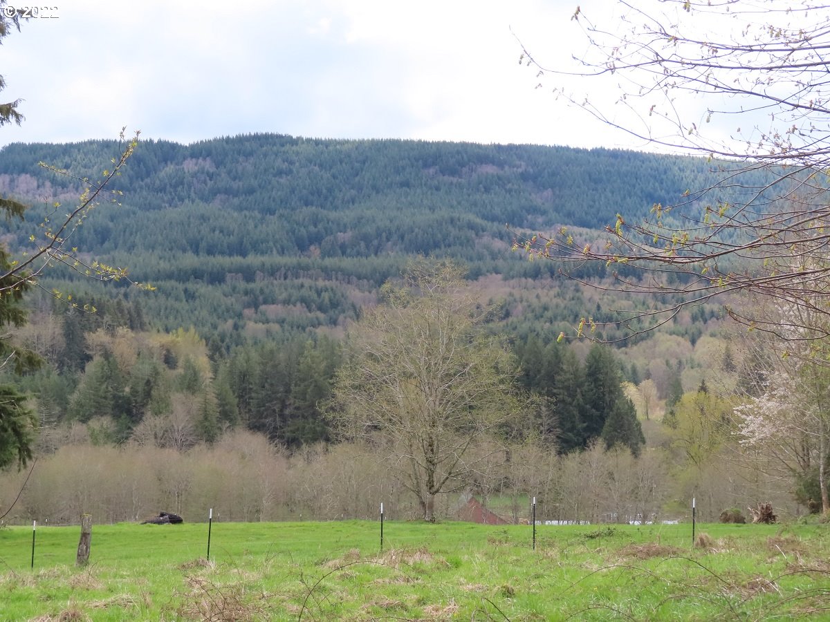 Hagen Road, Unit 14 Mossyrock, WA 98564 - Photo 2 of 32 Gallery Image 2