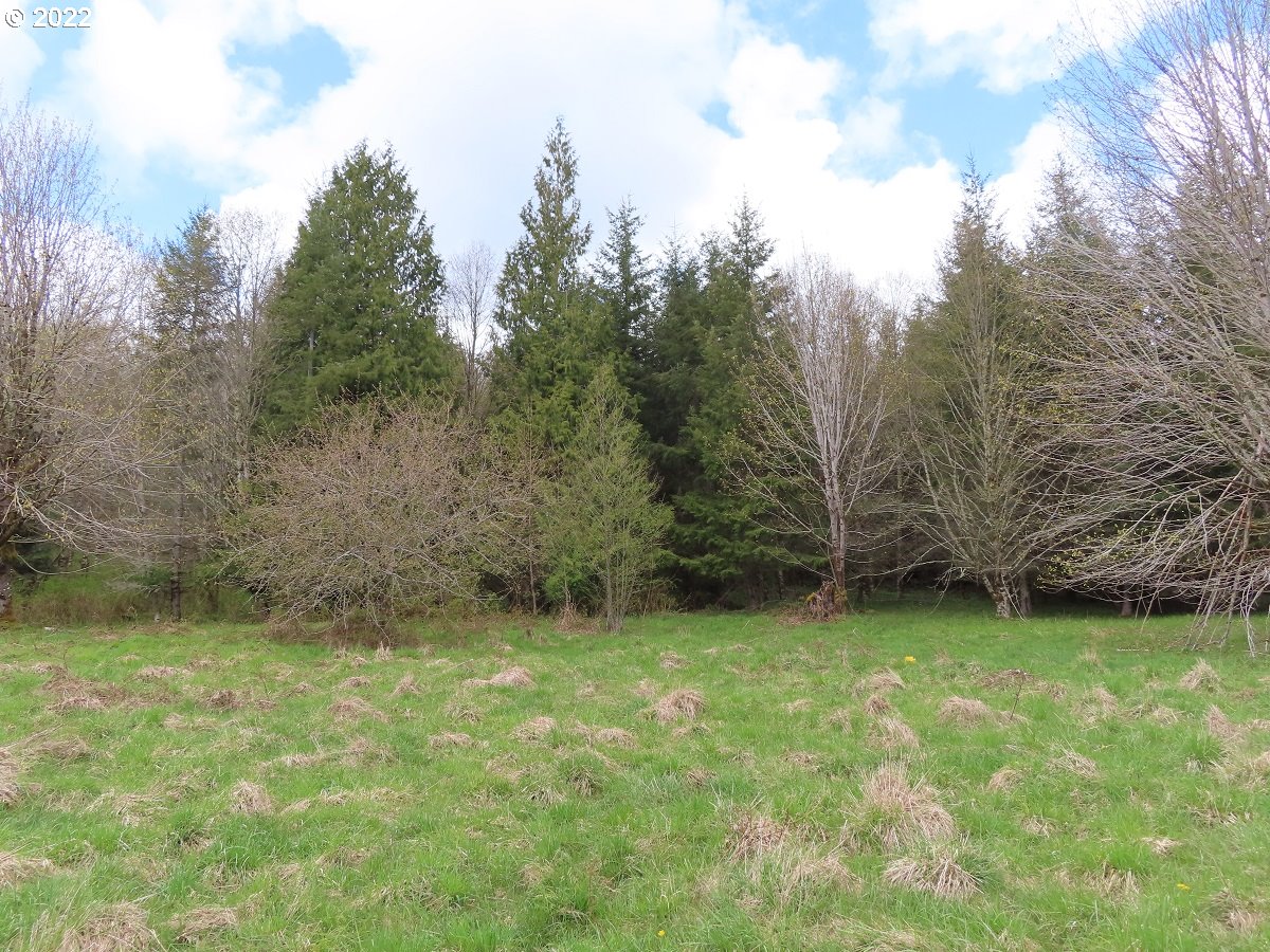 Hagen Road, Unit 14 Mossyrock, WA 98564 - Photo 23 of 32 Gallery Image 23