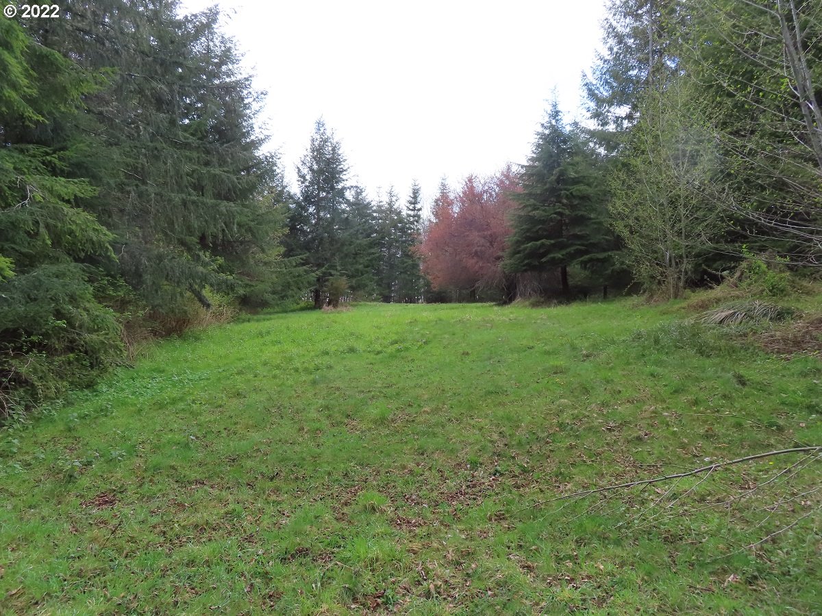 Hagen Road, Unit 14 Mossyrock, WA 98564 - Photo 24 of 32 Gallery Image 24